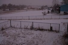 DSC_2337.jpg
