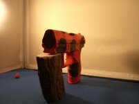 ladybug 013.jpg