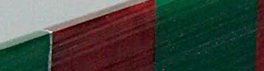 pith tease.jpg