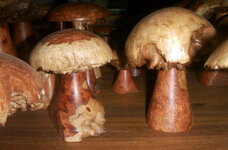 PICT0432-1.JPG
