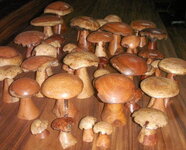 PICT0433-1.JPG