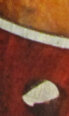 close up 1.jpg