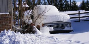 05.jpg