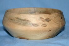 Bowl - Spalted Holly - 2.jpg