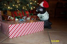 Christmas 2009 004.jpg