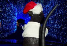 Christmas 2009 015.jpg