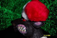 Christmas 2009 019.jpg