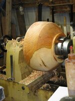 IMG_1307.jpg
