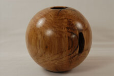 087 - oak.jpg