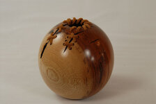 088 - pecan.jpg