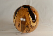 089 -1 Wild Olive.jpg