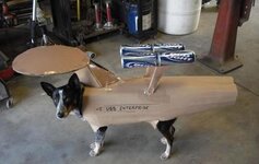 Star-Trek-dog-costume.jpg