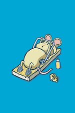 rat work out.jpg