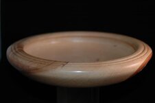 DSC_8200.jpg