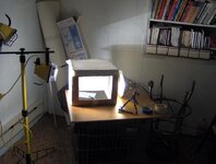 20100119_5.jpg