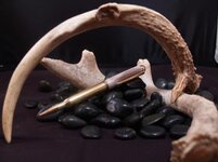 deer antler.jpg