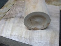 IMG_1198.JPG