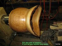 IMG_1391.jpg