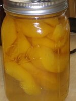 20190518_125928.jpg