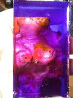 20190524_220358.jpg