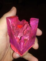 20190525_093342.jpg