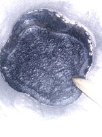 20190525_093919.jpg