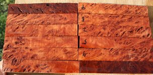 1 jarrah 2.jpg