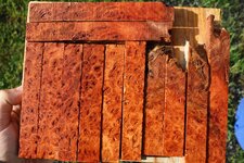 1 jarrah 3.jpg