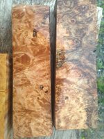 1 maple burl1.jpg