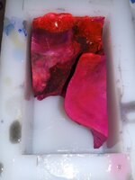 20190526_133046.jpg