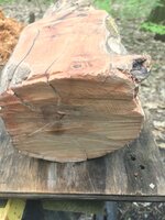 IMG_5504.JPEG