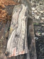 IMG_5505.JPEG