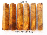 LOT #  9.jpg