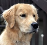 Willow 10 months (2).jpg