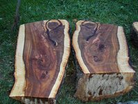Cutting & loading the Almond trunks 035.jpg