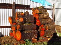 washing sand out of timbers 004.jpg