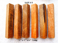 LOT #5.jpg