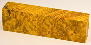 p3009n1.jpg