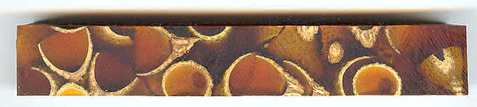 acron blank.jpg