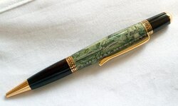 Sierra Shredded Money view 2.JPG