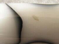 wing3.jpg