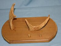 Antler Stand - 20081125 - empty.jpg