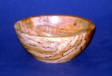 Spalted Maple 8.jpg