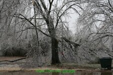 IMG_0853.jpg
