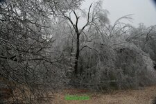 IMG_0869.jpg