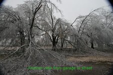 IMG_0917.jpg