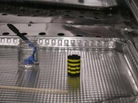 Bumblebee 013.jpg