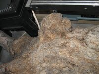 IMG_2938sm.jpg