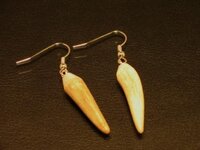 earring.JPG