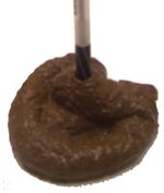 poo-pen-holder.jpg